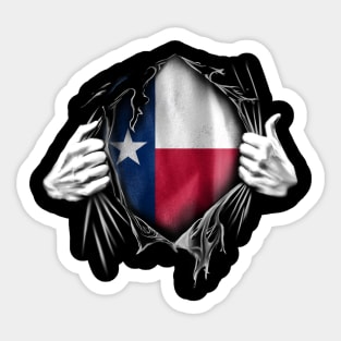 texas state, i love texas Sticker